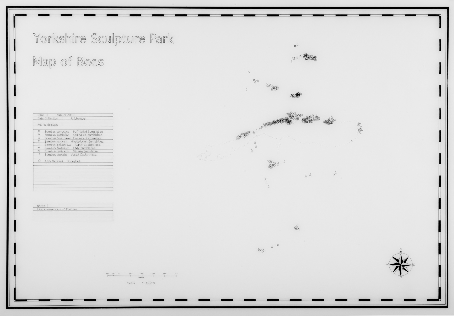 Rebecca Chesney Bee Map 01