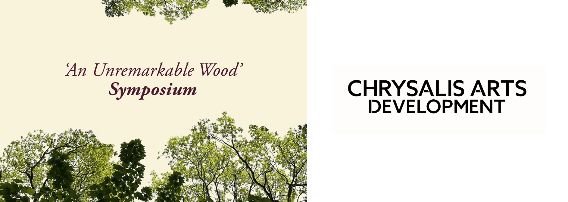 unremarkable wood
